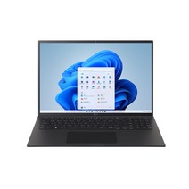 LG전자 2021 gram 16, 옵시디안 블랙, 16Z95P-GA5LK, 코어i5, 256GB, 16GB, WIN11 Home