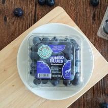 고당도 칠레 생 블루베리 125gx4팩/14mm내외/500g, 없음