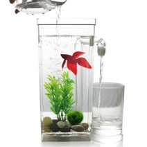 물멍 자동 청소 어항 금붕어 구피 해수어 베타 키우기 해파리 거북이 물고기 네모난수족관 관