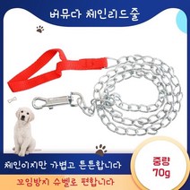 (15시이전 주문 당일출고)버뮤다 강아지 반려견 스텐 체인줄 쇠줄 리더줄