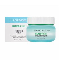 브링그린 대나무 히알루 수분 크림 75ml, 1개