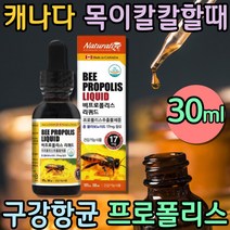 목이칼칼할때 비 프로폴리스 추출물 리퀴드 액상 구강 항균 항산화 플라보노이드 캐나다 영양제 PROPOLIS 고함량 폴리폴리스 폴라폴리스 먹는방법 어린이 키즈 항산화 프리미엄 아이