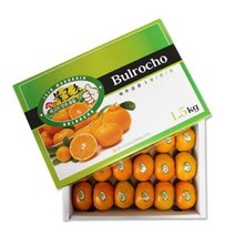 제주 감귤 택배 불로초 1.5kg 3kg 맛있는귤 제주감귤 맛좋은감귤, 제주 불로초 감귤  3kg 2S~M