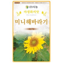 다농 미니해바라기 씨앗 2g 야생화 씨앗