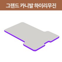 에어박스 그랜드카니발하이리무진 차량 매트 10cm, 단품