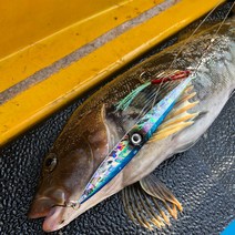 롱지그 LJG004 메탈지그 빅게임 지깅메탈 부시리 방어 삼치 대구 메탈, 500g, 02 핑크