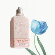 록시땅 바디로션 체리 블라썸 쉬머링 Body 로션 250ml, 250ml × 1개