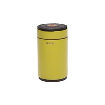 RovR 제품 아이스R 냉각기, Green, 3 liters