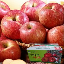 한터 충주사과 4.5kg (12~14과)