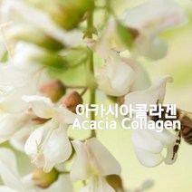 아카시아콜라겐-천연화장품재료, 500ml, 1개