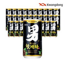 광동 힘찬하루 헛개차 180ml 미니캔 숙취음료 음료수, 180개