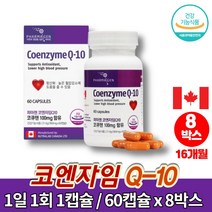 코스트코 캐나다 큐엔자임 코엔자임 큐텐 코큐텐 COENZYME q10 고쿠텐 코큐10 실버 어르신 혈압 활력 영양제, 8박스
