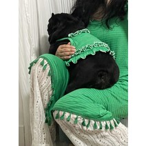 강아지 비옷 우산 대형견 우비 다이소 애견 개 고양이 애완동물 부모자식 드레스 여름 시원한 서스펜더 스커트 에어컨 셔츠 프렌치 비숑 프리즈 슈나우저 오리지널, [01] 강아지 스커트에는 다양한 스타일이 있습니다., [03] 사이즈 14(테디 버전은 최대 8파운드의 몰타