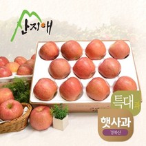 [쇼핑엔티] [2023햇사과] 산지애 알뜰 못난이사과(대과) 4kg 2box