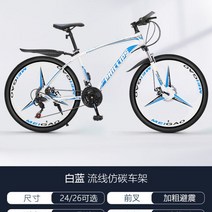 영국 필립스 다혼스피드D9 제트스트림 사바파이크 k3 팻바이크 티티카카 자이언트 giant 펫 SUVD6 몽구스 mtb 유사브롬톤 풀샥, S24단, 24인치