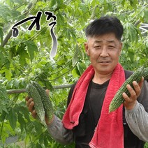 최상특A품 친환경 무농약 생 여주3k/5k_아이스박스포장, 건여주300g