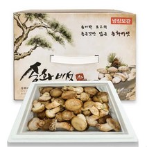 [젊은농부] 송화버섯 1키로 일반형 선물세트 효도선물 건강선물 부모님 명절선물 송화버섯 1kg 3호