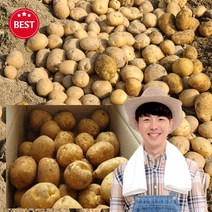 2023년 강원도 고랭지 햇 설봉감자 특대 사이즈 5kg 10kg 20kg 햇감자 강원도감자 포근포근 설봉감자 노지감자 쪄먹는감자 분나는감자 한박스 5키로 10키로 20키로 감자, 1개