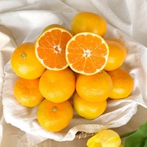 [제주열매] 서귀포 산지직송 고당도 하우스 감귤, 1box, 하우스 꼬마귤-10kg (귤중량 9kg)