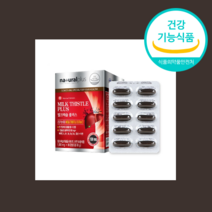 밀크 씨슬 시술 시스 추출물 간 건강 도움 SILYMARIN 선물 지인, 1000mgx240개