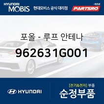 순정 루프 안테나폴/폴대 (962631G001) 베르나 하이브리드 스포티지 프라이드 카니발 2005년식 쏘울