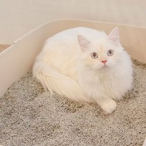 한삽뚝딱 저스트원 탈취 캡슐 고양이 두부모래 정량 2.7kg x3개