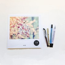 캘리그라피 세트 초보자용 독학, 세트B(세트A+TC-3100)