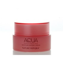네이처리퍼블릭 슈퍼 아쿠아 맥스 모이스처 수분크림 건성용 80ml, 7개