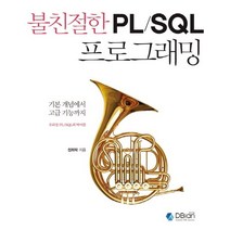 불친절한 PL/SQL 프로그래밍:기본 개념에서 고급 기능까지 오라클 PL/SQL의 바이블, 디비안(주)(DBian)