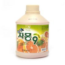 차그림 자몽주스 850ml 자몽 과일 농축액 원액 주스