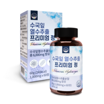 웰리즈 수국잎 열수 추출 프리미엄정 60g, 60정, 1개