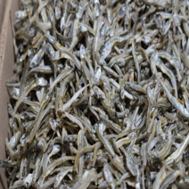 [산해식품] 청정해역 완도 자멸(가이리) 부드러운 볶음 멸치 1.5kg, 자멸치 1.5kg