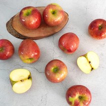 [더조은] 아리수 사과 가정용 5kg 22-24과, 단품