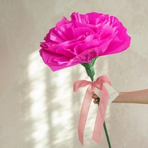 뷰티풀데코센스 자이언트카네이션 리본장식, 마젠타