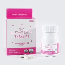 고르구매샵 웰러스 다이어트 보조제 가르시니아 500mg 60정, 2개