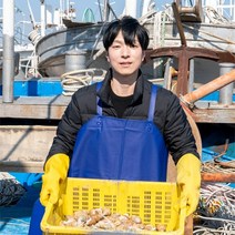 [기봉농수산] 자연산 동해바다 생물 백골뱅이 500g 1kg, 1kg 중 (35미 내외)
