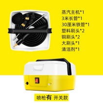 스팀해빙기 고온 얼음 수도 고압 증기 청소기, 3000W 고전력 해빙기