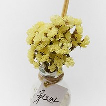 [천삼백케이] [안녕작은공방] 노란스타티스 [꽃이피다] 디퓨저 100ml, Freesia Blossom