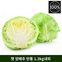 국내산 햇 양배추 반통 1통 2통 3통 특품, 1개, 반통 1.2kg내외