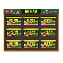 동원 리챔6호 선물세트 리챔200g 9캔, 1개