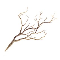 인공 나무 지점 공작 공작 산호 지점 플라스틱 식물 건조 된 나무 가정 결혼식 식탁 배열 꽃, 커피