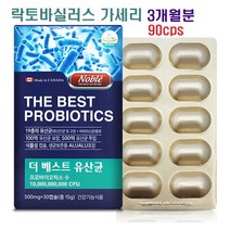 노블 모유 유산균 락토바실러스 17 가세리 프리바이오틱스 분말 가루 캡슐 애시도필러스 람노서스 비피더스균 비만세포 장내유익균, 500mg, 90캡슐