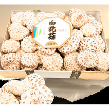 더해담 백화고 표고세트 특호 강원도 산골 참나무, 단품, 단품