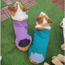 뛰뛰하우스 자체제작 강아지 후드티 국내생산 중형견 대형견 XL~5XL, 블루그린