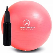 ProBody Pilates 볼 운동 볼 요가 볼 다양한 사이즈 안정성 볼 의자 임신 피트니스 균형 운동 및 물리 치료용 체육관 등급 출산 공 (실버 45cm), 75 cm