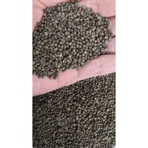 중국산 들깨 2kg 추가200g증정 특A/2022년 햇들깨 길림들깨 수입산 들깨, 2kg+(200g)