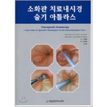 소화관 치료내시경 술기 아틀라스, 대한의학(대한의학서적), NIB SOEHENDRA 저/민영일,차재명,정기욱 공역