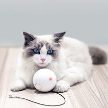 [펫케어] 스마트캣볼 움직이는 고양이 공 자동장난감(건전지포함), 단품