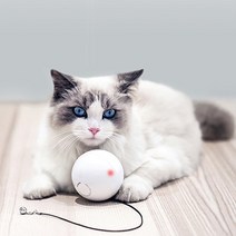 펫케어 움직이는 고양이 자동장난감 스마트캣볼, 단품