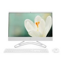 HP 일체형PC 24-f0121kr (펜티엄 G5400T 60.4cm WIN10 4GB 256GB SSD), 기본형